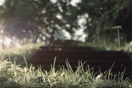 The Basics of sport That You Can Benefit From Starting Today