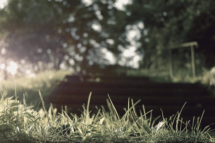 The Basics of sport That You Can Benefit From Starting Today