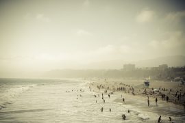 10 Facts About Beach Everyone Thinks are True