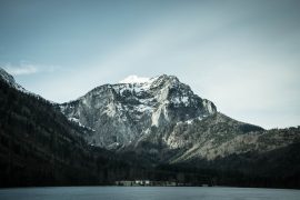 14 Great Humors About Nature